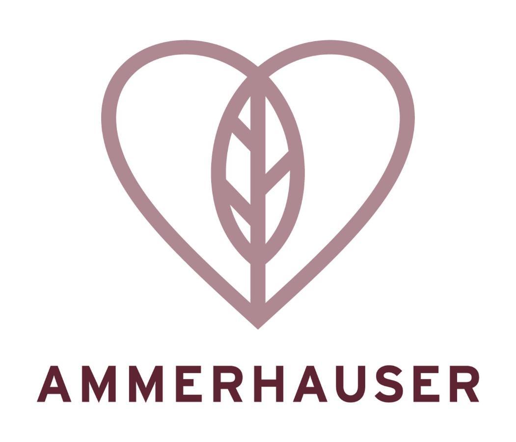 Hotel-Restaurant Ammerhauser Anthering Exterior photo